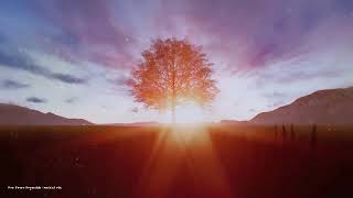 gomen ne karaoke letra