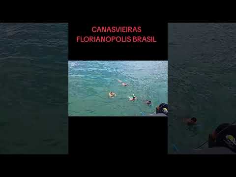 CANASVIEIRAS FLORIANOPOLIS BRASIL