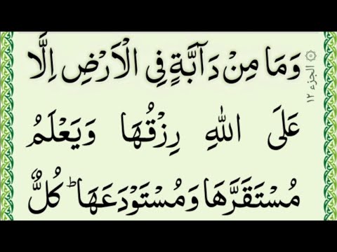 Quran. para 12 Complete {par 12 full HD text} Qari Hussain Saeedi