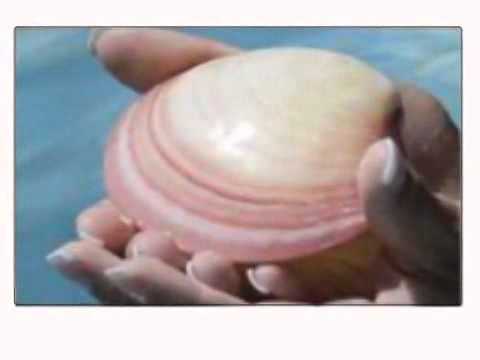 Beauty Salons & Consultants - Mulberry Beauty Salon