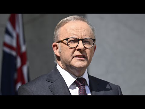 Albanese faces criticism from his own Labor Party