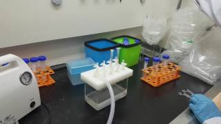 Bioeasy- Malachite Green Rapid Test Kit for Tissue