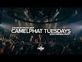 CAMELPHAT Tuesdays At Pacha Opening Party 2024