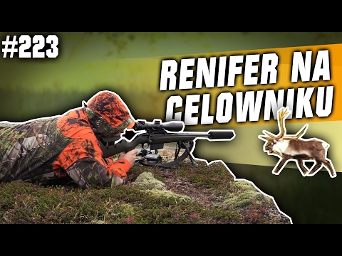 Darz Bór odc 223 - Renifer na celowniku