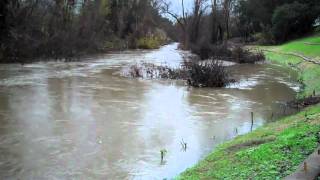 preview picture of video 'Napa River Rutherford Reach 3'
