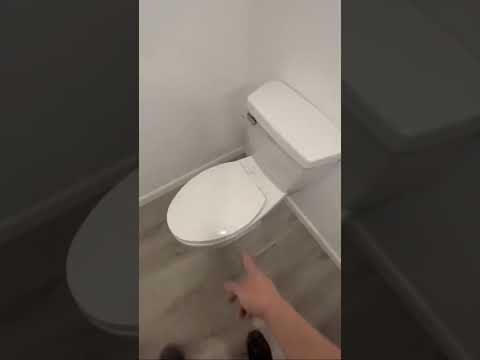 Saniaccess 3 Macerator Pump Toilet System – Powerful, Quiet, and Efficient! #plumber #maceratorpump