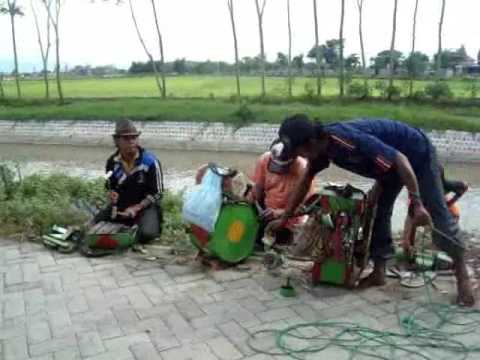 ZAILY - Topeng Monyet 2