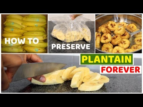 download lagu mp3 mp4 Frozen Plantains, download lagu Frozen Plantains gratis, unduh video klip Frozen Plantains
