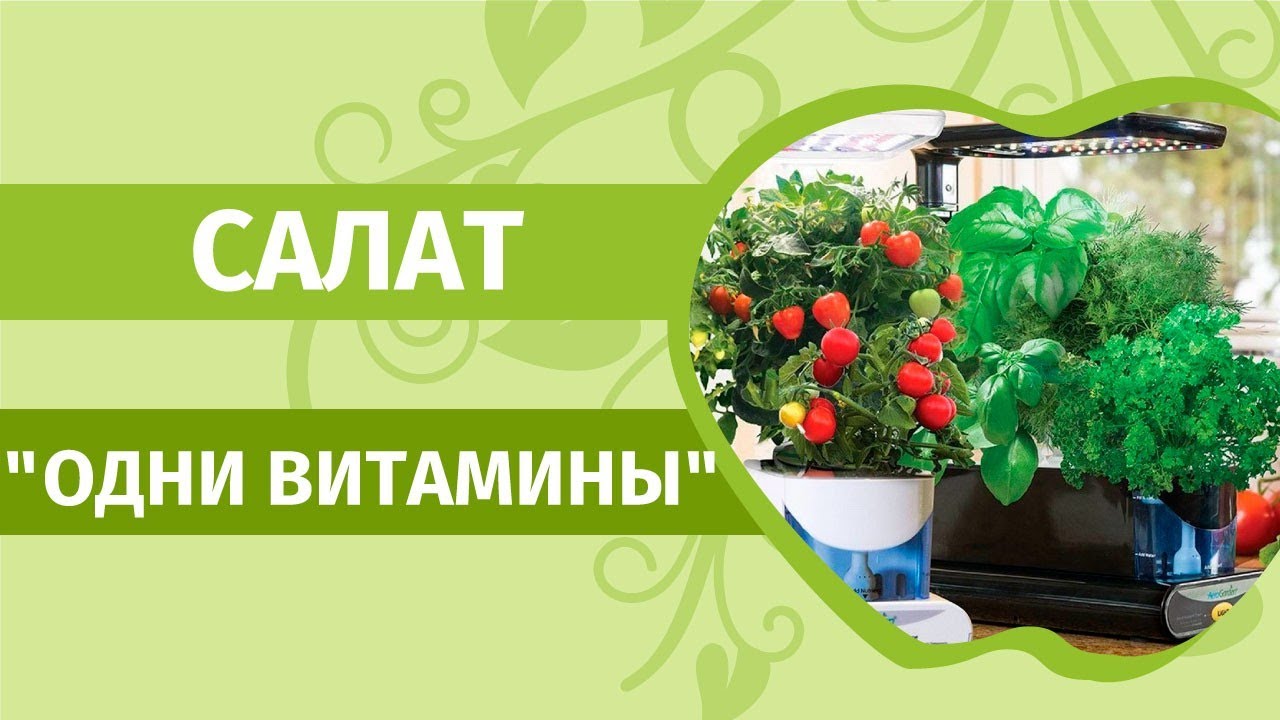 Зелень на подоконнике. Делаем самый весенний витаминный салат.