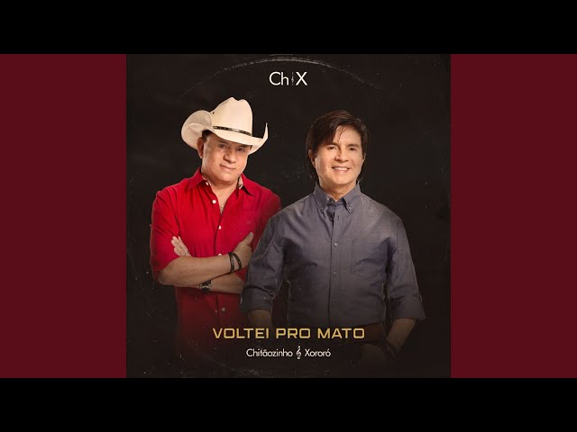 Música Voltei pro Mato - Chitãozinho e Xororó (2020) 