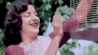 Chori Chori in colour - Panchhi Banoo Udti Phiroon Song, Nargis, Lata Mangeshkar