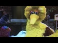 Christina Mistreeta S Favorite Part From Sesame Street Episoode 3884