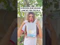 A PESSOA QUE LEVA LANCHE PRA ESCOLA