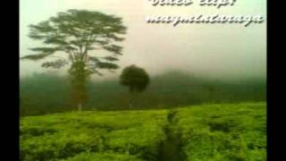 Download lagu KEMUNING, Widyawati, Video: maymintaraga mp3