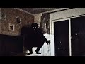Scary Stories 2