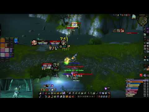 This Paladin went for a swim