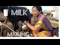 Goat Milking Vlog
