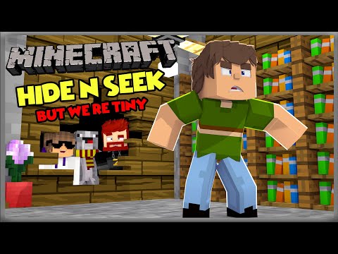 Minecraft Hide And Seek BUT We're Tiny
