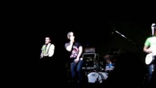 Honor Bright - Bull in a China Shop