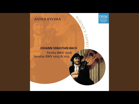 Sonata for Solo Violin No. 2 in A Minor, BWV 1003 (Arr. for Violoncello Piccolo) : III. Andante