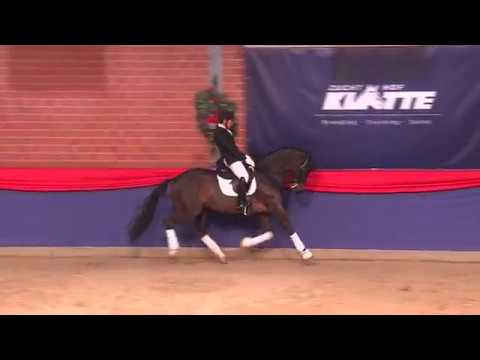 Franklin  (Ampere x Ferro x Flemmingh)