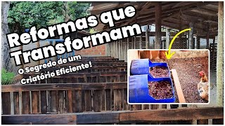 Como SIMPLES REFORMAS transformaram nosso criatório em uma POTÊNCIA - Veja o RESULTADO!