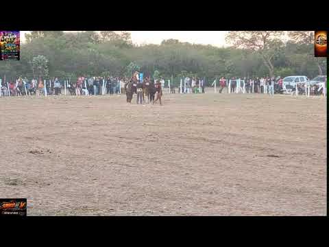 CAMPO TRADICIONALISTA VIRGEN DEL CARMEN CAMPO GALLO FM BENJAMIN EN VIVOOOOO