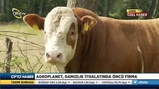Türkiye'nin Damızlık İthalat Lideri AGROPLANET'ten Yerli Üretim Atağı - Çiftçi H