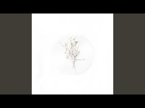 jangan dulu (live acoustic demo)