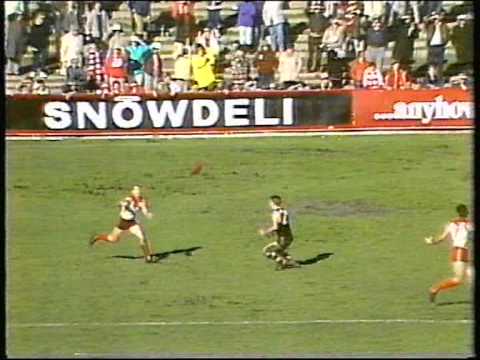 StKilda  v  Sydney  rd 17 1988 Sportsworld panel review