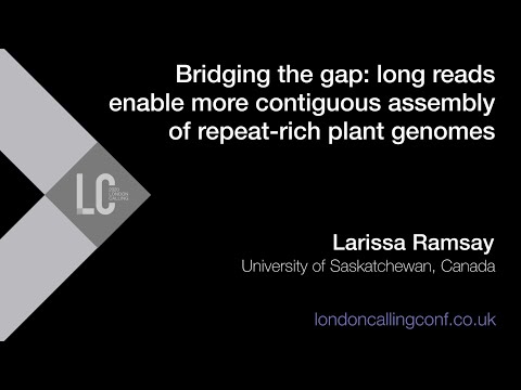 Long reads enable more contiguous assembly of repeat rich plant genomes - Larissa Ramsay