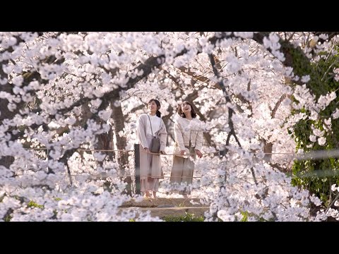 [4K]  Yamagata “桜” Tours