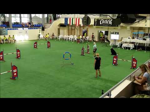 XXV. JUBILEUMI AGILTY KUPA 2021.08.14-15 - Legendary of Jet Black Mithos