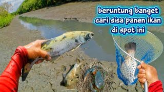 Download lagu Baru kali ini mencari ikan sisa panen dapat yang super mewah-mewah tok ikannya! mp3