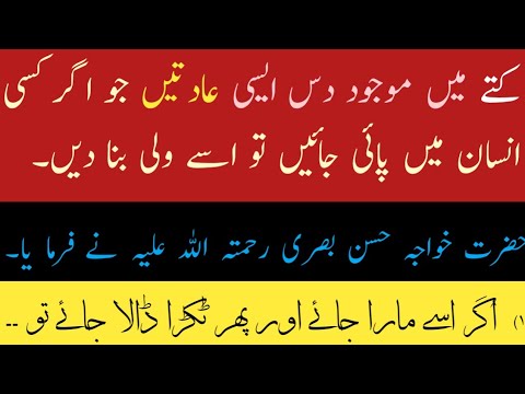 Good habits of dog | Aqwalezaren || Islami batain || islamic urdu