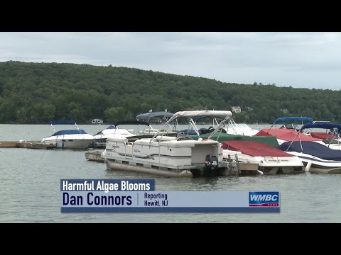 NJ Sussex County Dangerous Algae Blooms