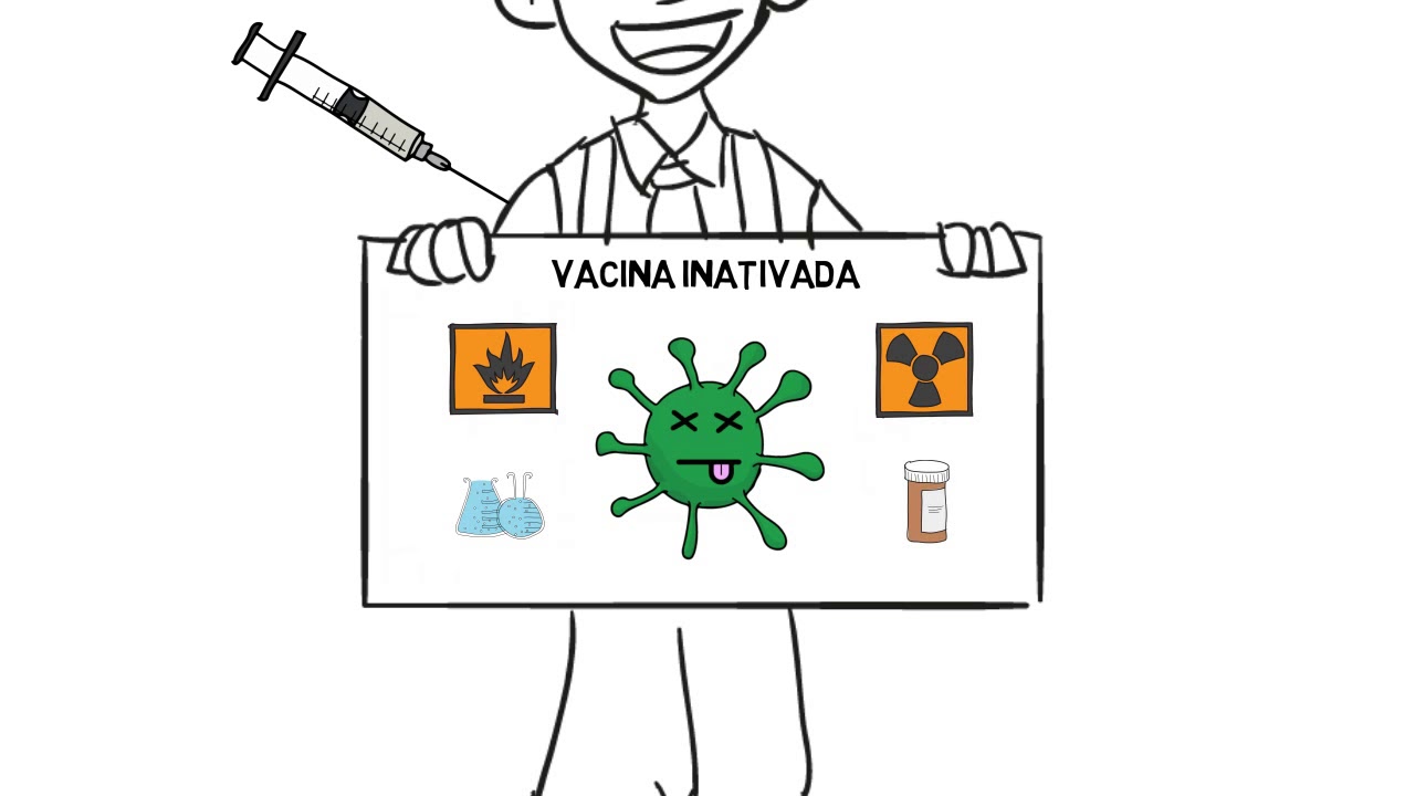 Como as vacinas são produzidas?