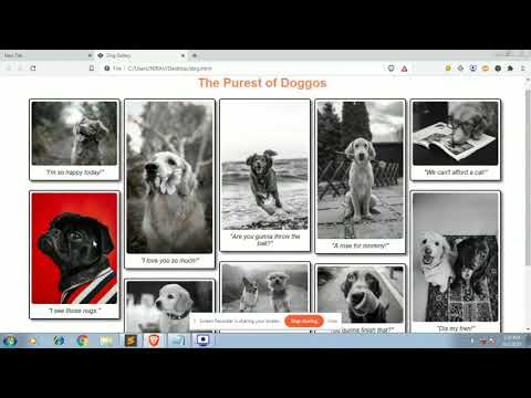 dog gallery css | photo gallery html css | css grid gallery responsive | css | responsive | grid
