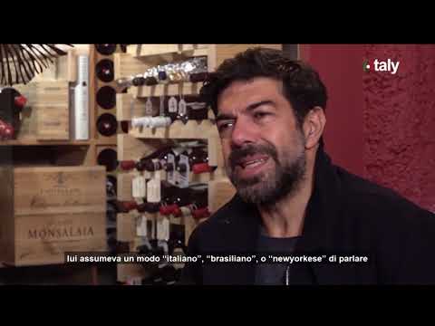 THE MANY FACES OF THE "TRAITOR"