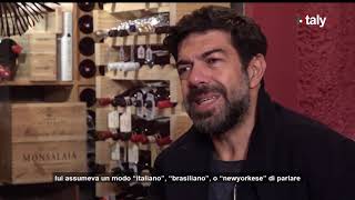 THE MANY FACES OF THE \