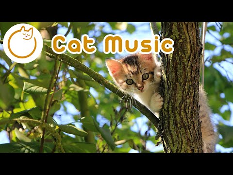 Separation Anxiety Music - Leave this on whilst your cat is alone!