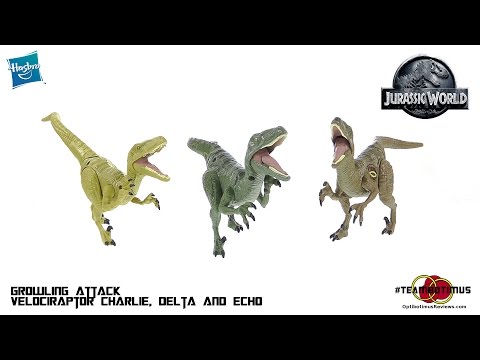 Jurassic World: Growling Attack Velociraptor Charlie, Delta and Echo Video Review