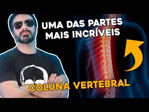 ONE OF THE MOST AMAZING PARTS OF OUR BODY: THE SPINE!