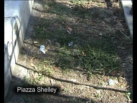 Cento piazze e una via