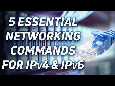 5 Essential Networking Commands for Linux, Windows and macOS