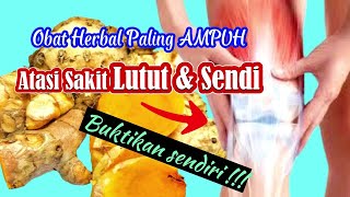 Download lagu 10 Obat Herbal AMPUH Atasi Sakit Lutut Dan Sendi Paling Cepat mp3