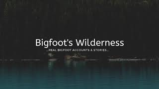 Bigfoot Found