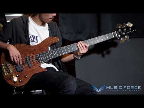 [MusicForce] Lakland US Custom 55-94 Deluxe Demo by Bassist '최지호' (Jiho-Choi)