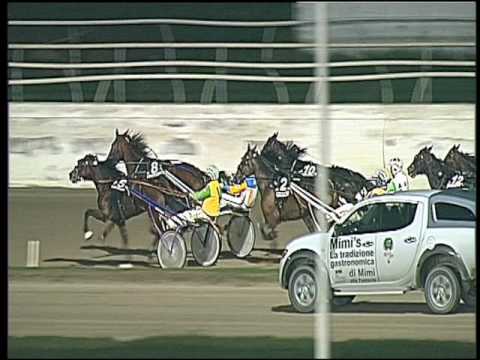 Trotto 11/11/2016 - 6ª corsa