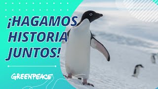 Greenpeace, protejamos la Antártida (vídeo)